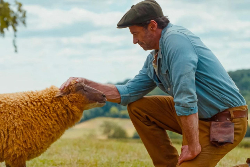 Hugh Jackman encuentra algo profundamente humano en «The Sheep Detectives»
