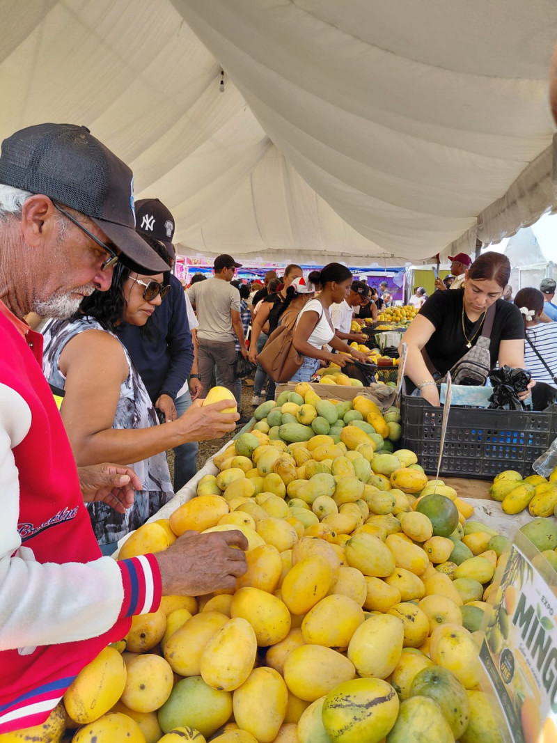 Productores de Baní perderán unos 90 millones de pesos por veto de EE.UU. al mango